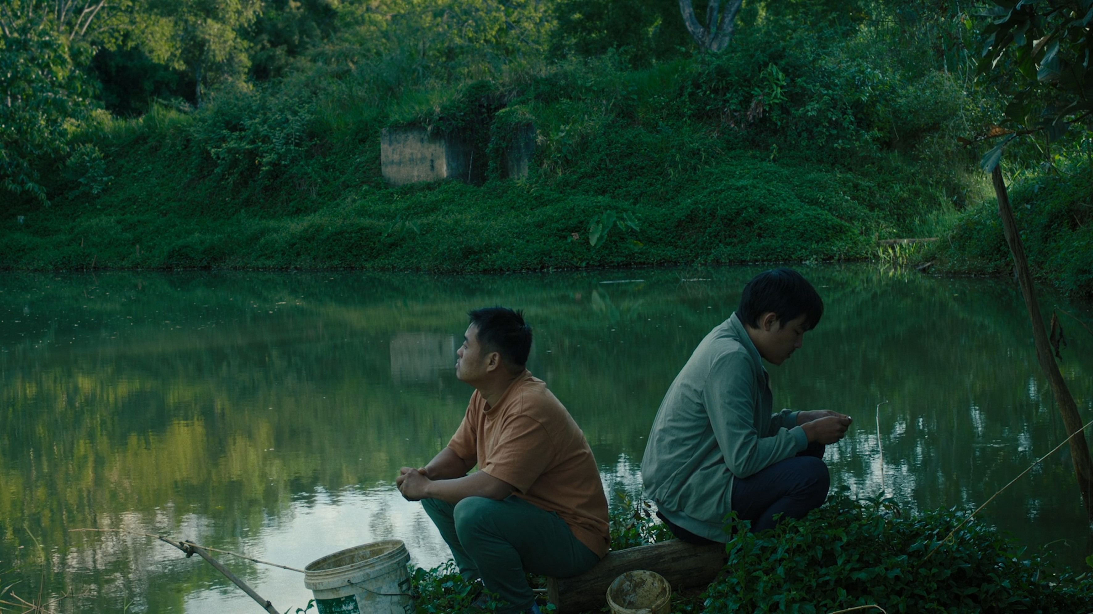 film L'arbre aux papillons d'or de Pham Thien An