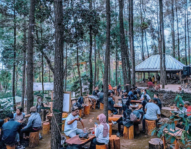 Daftar Menu dan Lokasi Kedai Hutan Cempaka Prigen Pasuruan