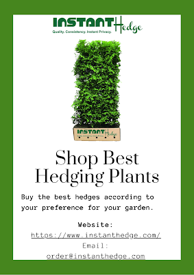 hedging plants