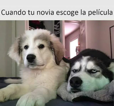   Cuando tu novia escoge la película , perros