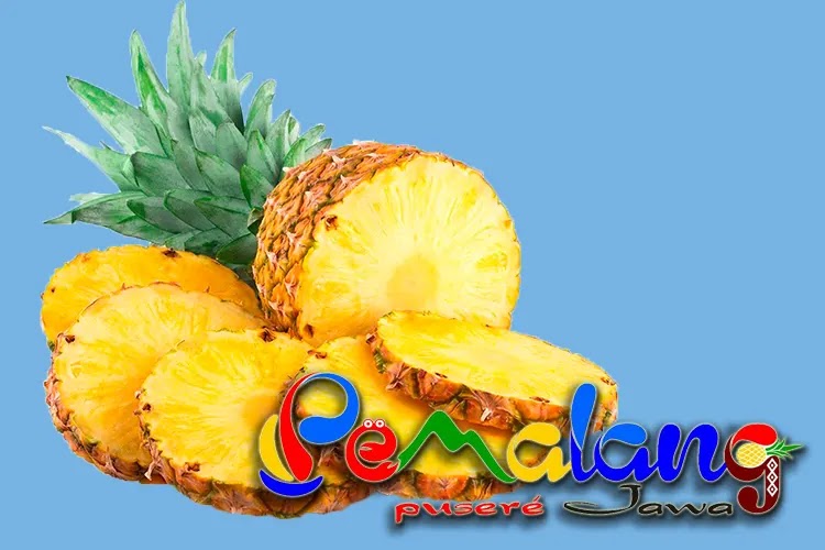 Berbagai Olahan Berbahan Dasar Nanas Madu Khas Pemalang