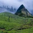 travelrainbow-darjeeling-tea