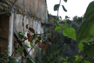 ruins detail