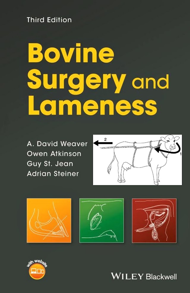 Free Download Bovine Surgery And Lameness Full Book Pdf