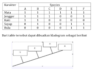 Contoh Soal Biologi Kelas X Bab 3 Sistem Klasifikasi