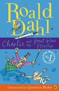 book review on charlie and the great glass elevator