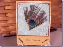 Lona's Feather