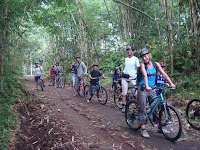 Cycling Downhill Kintamani