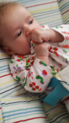 Brighton Mumma parent blog baby update