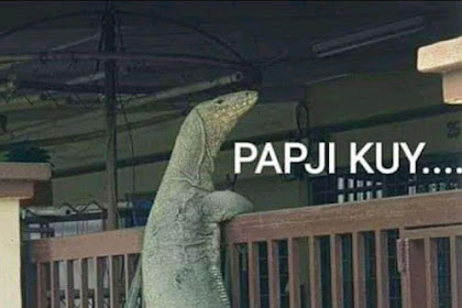 √ 30+ Kumpulan Foto Meme Biawak Viral 2019