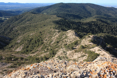 CABRA DEL CAMP-COLL DE SÀRRIA-ROC DEL COGULLÓ-EL COGULLÓ-PUIG DE COMAVERD-COLL DE VALLS, Camí des del Coll de Sàrria al Roc del Cogulló o GR-175 en vistes al Pla de Cabra