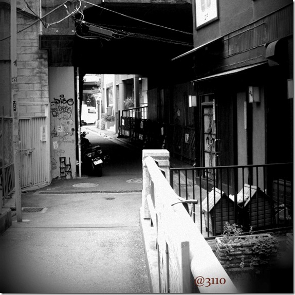800xblogshibu062-002