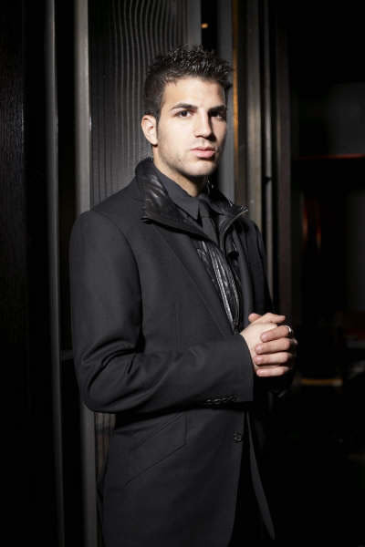 Cesc Fabregas - Gallery Colection