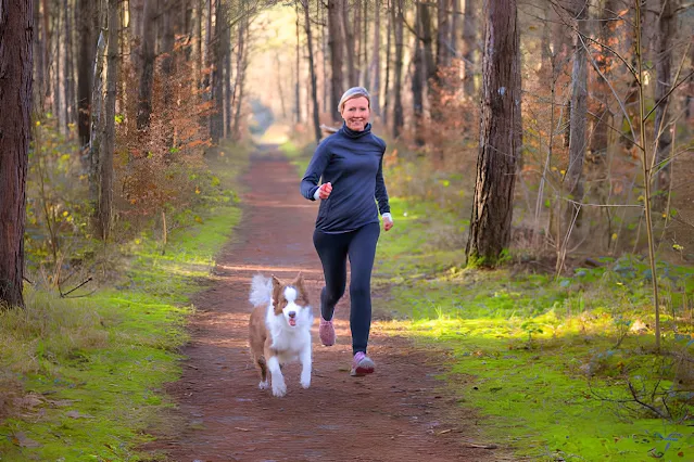 11 ways to exercise with your dog