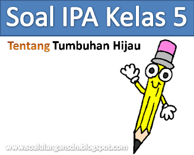 Soal IPA Kelas 5 tentang tumbuhan hijau