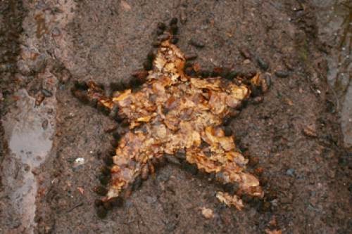 Occult Dabbling At Ancient Gloucestershire Well