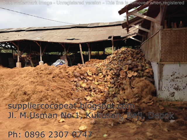 sale cocopeat