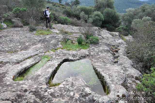 Finca Murta