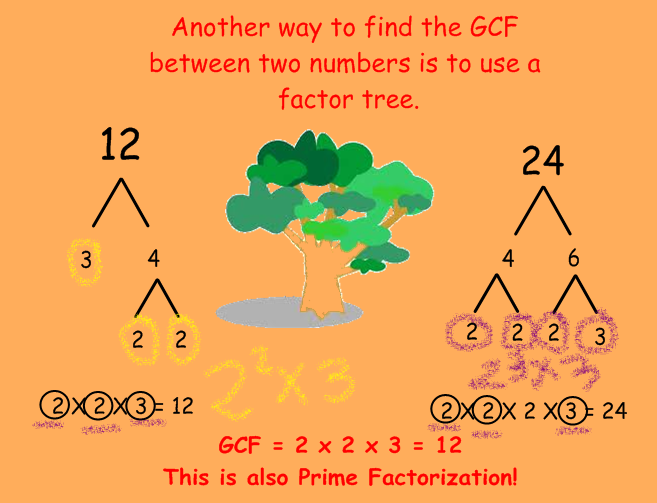 do my homework of prime factorization