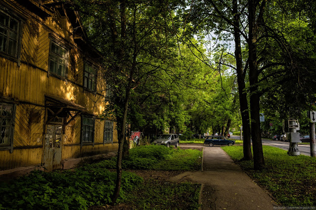 Пешеходная дорожка в тени деревьев