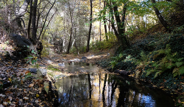 Río, Otoño, senderismo, Jérez del Marquesado