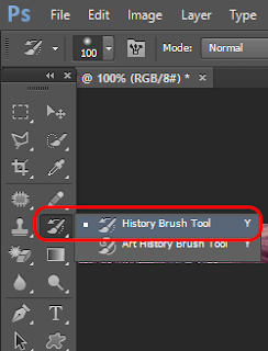 History Brush Tool Option in Photoshop