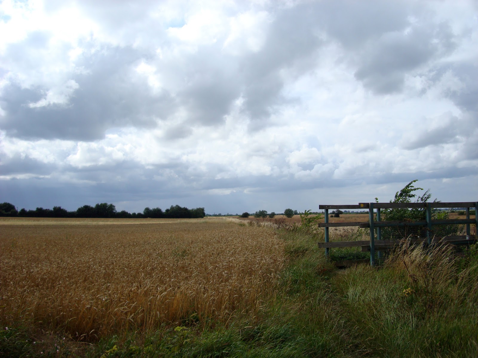DSC09185.JPG