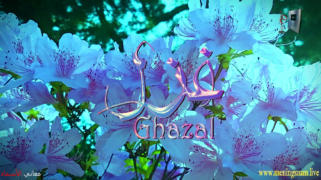 معنى اسم, غزل, وصفات, حاملة, هذا الاسم, Ghazal,