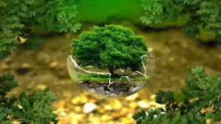पर्यावरण से संबंधित 35 महत्वपूर्ण प्रश्न|paryavaran mcq in hindi