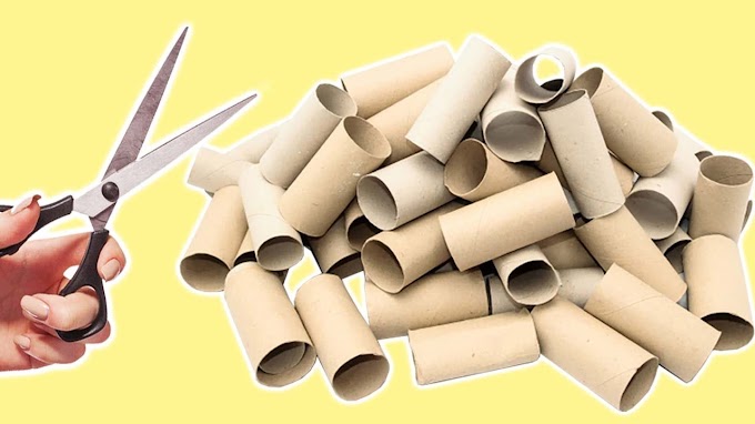 10 formas geniales de reutilizar tubos de papel higiénico