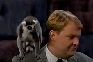 Lemur on Andy Richter's Shoulder