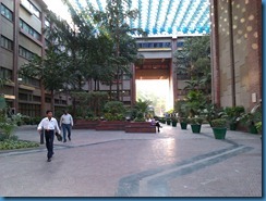 IMAG0334