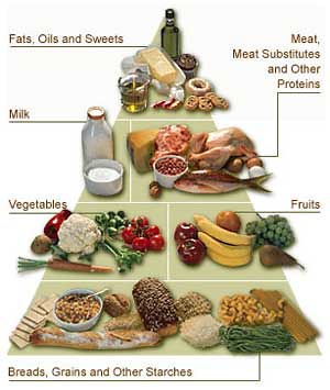  Food Pyramid -Importance  in every person life