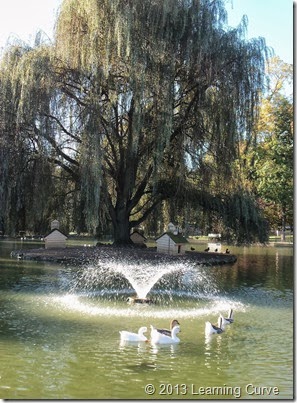Fall 2013 033