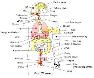 Chronic Inflammation