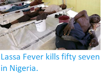 http://sciencythoughts.blogspot.co.uk/2018/02/lassa-fever-kills-fifty-seven-in-nigeria.html