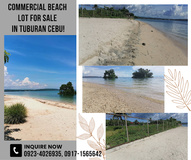 Commercial Beach Lot in Tuburan Cebu