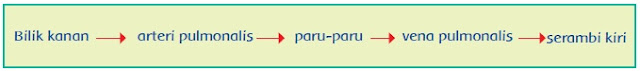  Materi dan Kunci Jawaban Tematik Kelas  Materi dan Kunci Jawaban Tematik Kelas 5 Tema 4 Subtema 1 Halaman 3, 6, 7, 8