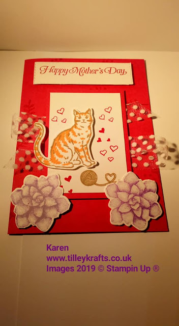 Cat punch Stampin Up