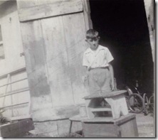 Norman (2)