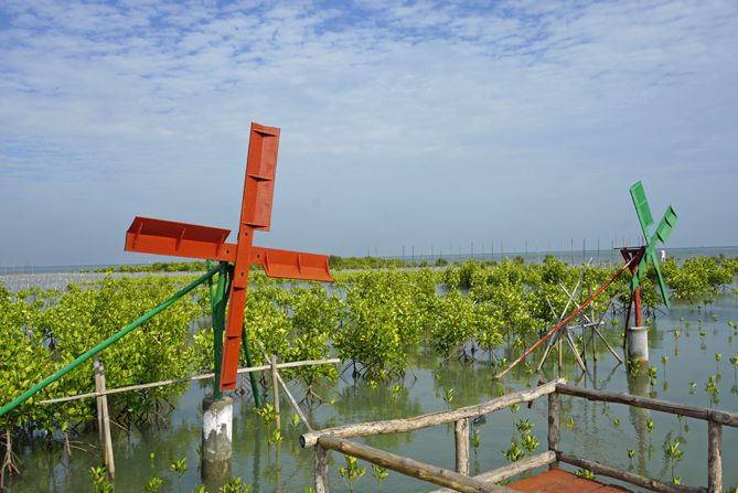 Kincir angin ala-ala di Jembatan Merah Mangrove Pasarbanggi