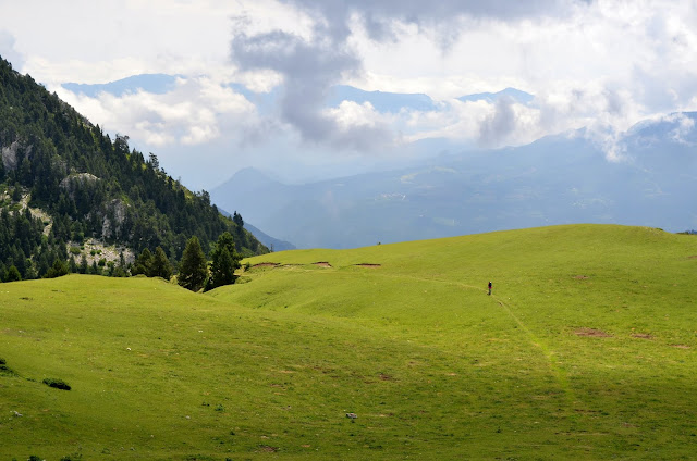 cavalls del vent pirineos, en cadí moixeró. prados pedraforca