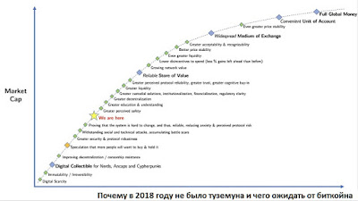 Почему в 2018 году не было туземуна и чего ожидать от биткойна