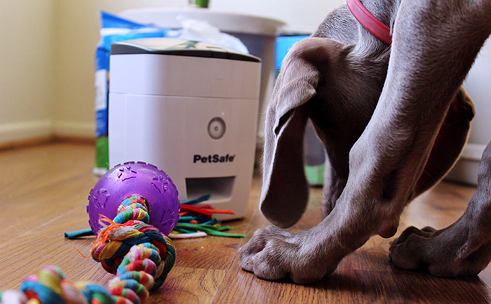 PetSafe's Train N' Praise system helps potty train your dog with positive reinforcement in the form of treats. The unique moisture sense potty pads reward your pet instantly, even when you are not there to do so! The reward system even comes with a remote so you can use the system to reward positive behaviours long after potty training! #sp