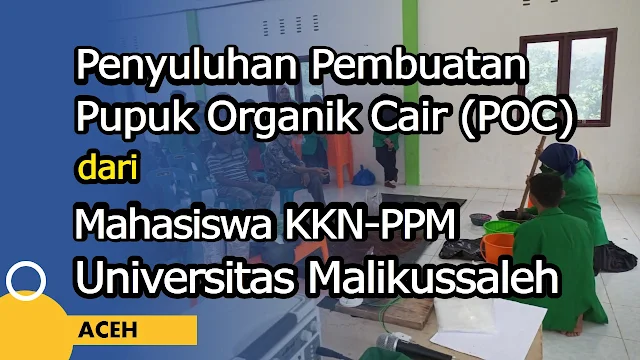 Mahasiswa-KKN-PPM-Universitas-Malikussaleh-pupuk-organik