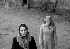Ida