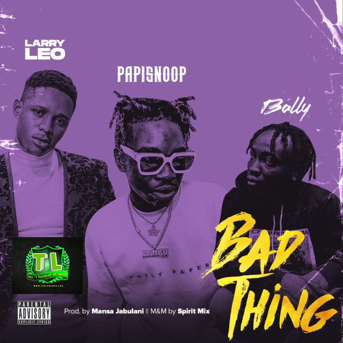 Larry-Leo-Bad-Thing-Ft-Papisnoop-Bally-Prod-By-Mansa-Jabulani-mp3-download-Teelamford