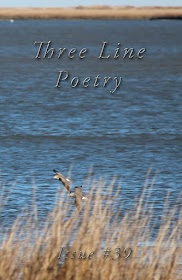 https://prolificpress.com/bookstore/three-line-poetry-c-2/three-line-poetry-issue-39-p-186.htmltags