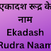 एकादश रूद्र के नाम | Ekadash Rudra Naam |