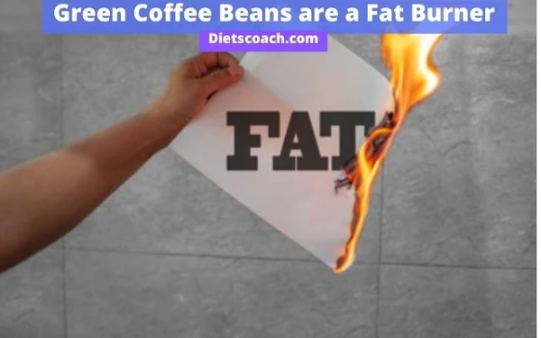 Green Coffee Beans are a Fat Burner